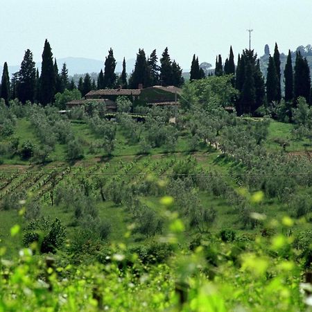Fattoria Casa Sola Konuk evi Barberino di Val dʼElsa Dış mekan fotoğraf