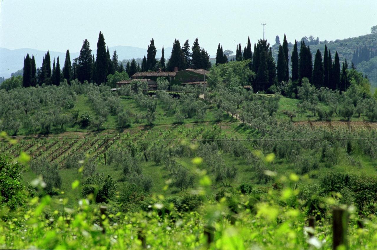 Fattoria Casa Sola Konuk evi Barberino di Val dʼElsa Dış mekan fotoğraf