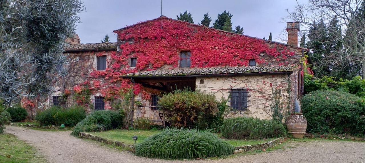Fattoria Casa Sola Konuk evi Barberino di Val dʼElsa Dış mekan fotoğraf