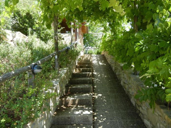 Fattoria Casa Sola Konuk evi Barberino di Val dʼElsa Dış mekan fotoğraf