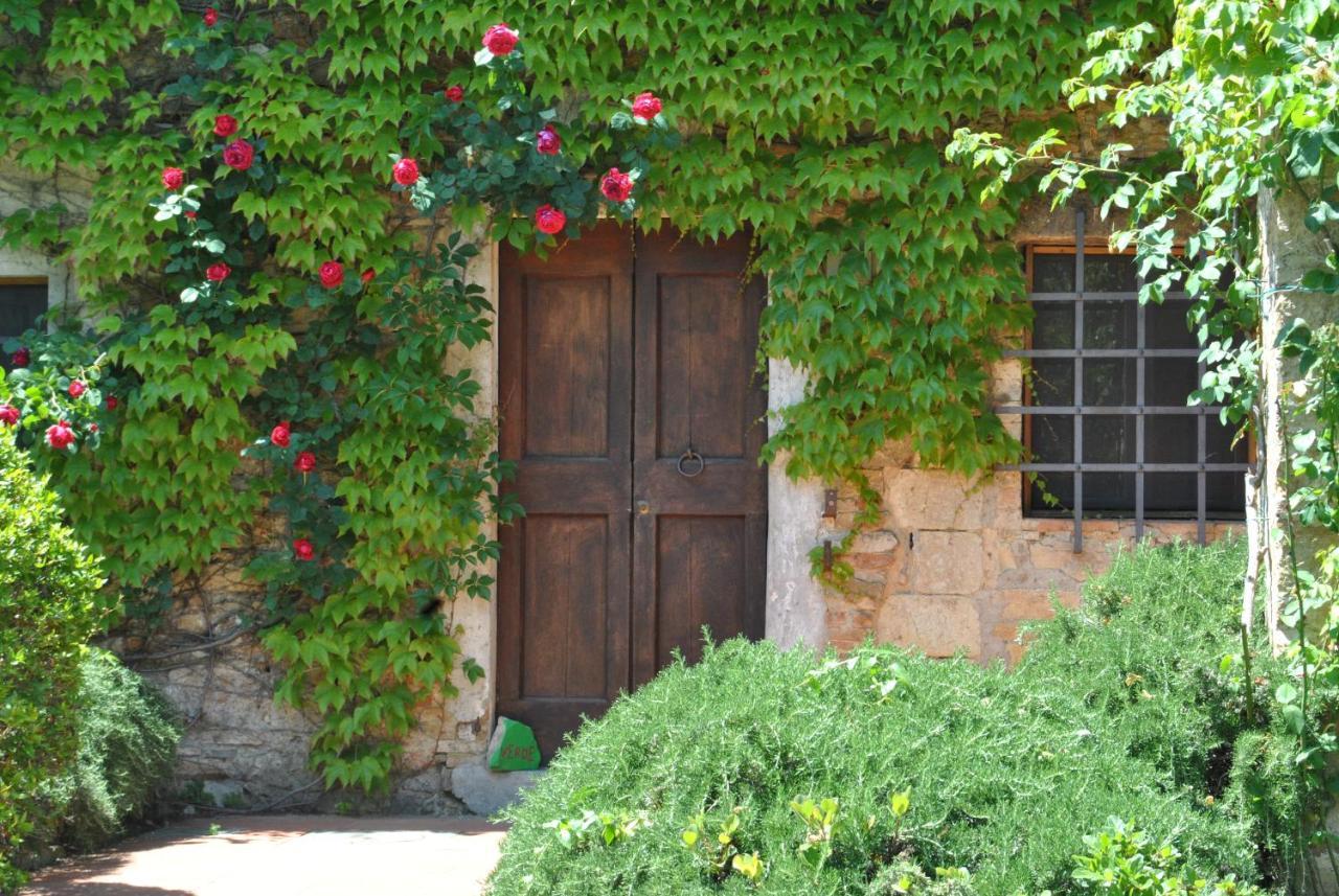 Fattoria Casa Sola Konuk evi Barberino di Val dʼElsa Dış mekan fotoğraf