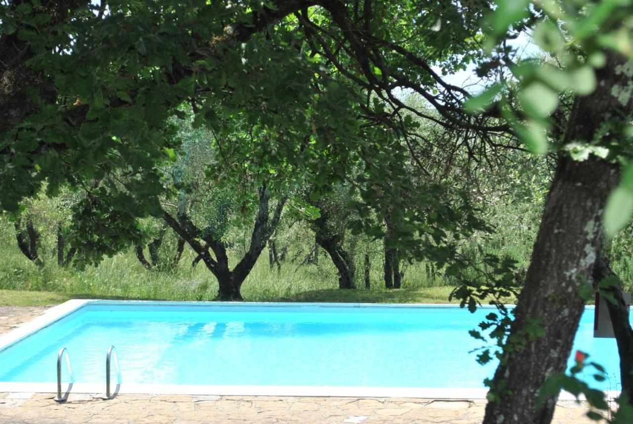 Fattoria Casa Sola Konuk evi Barberino di Val dʼElsa Dış mekan fotoğraf