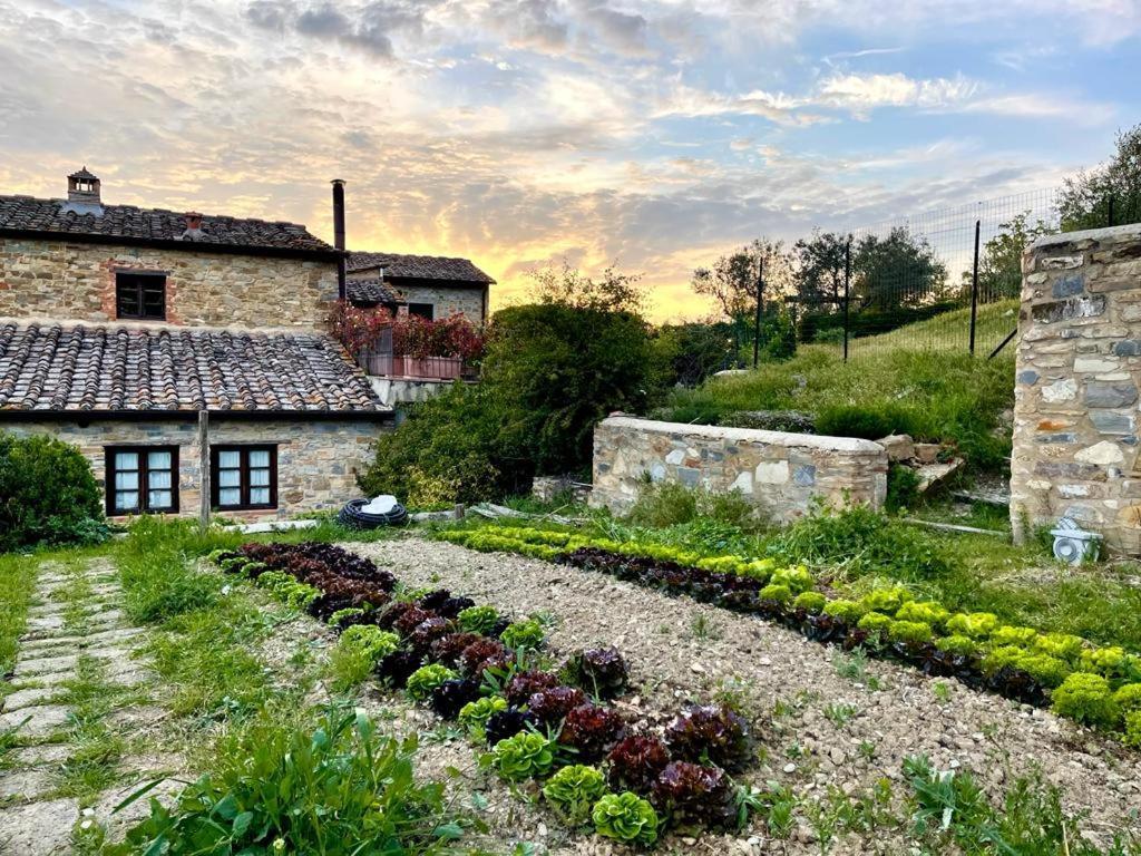 Fattoria Casa Sola Konuk evi Barberino di Val dʼElsa Dış mekan fotoğraf