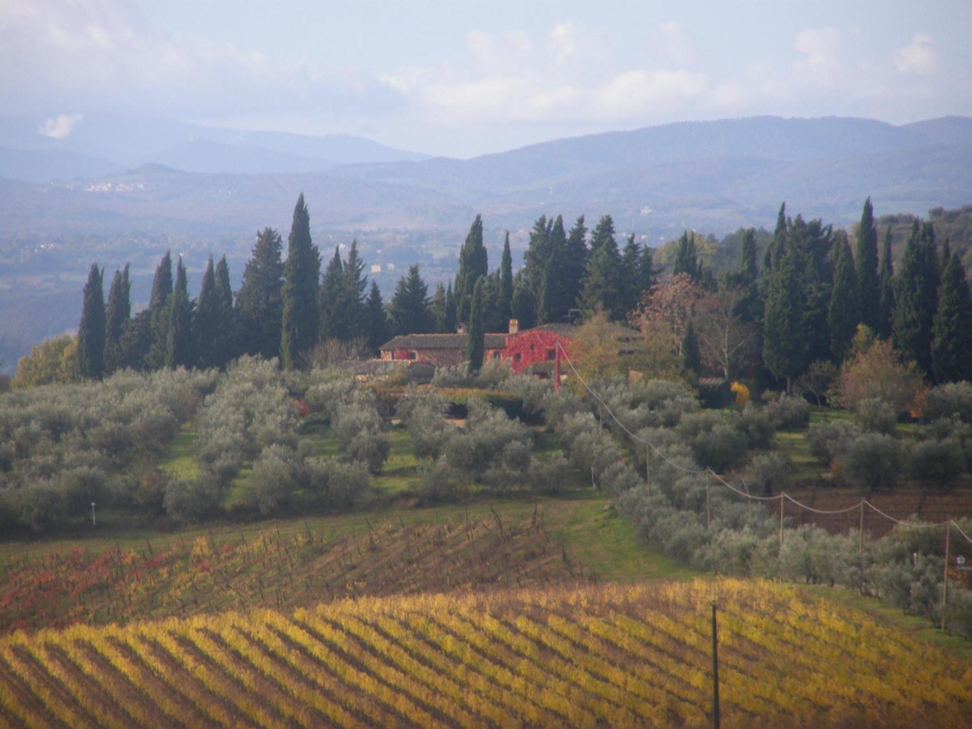 Fattoria Casa Sola Konuk evi Barberino di Val dʼElsa Dış mekan fotoğraf