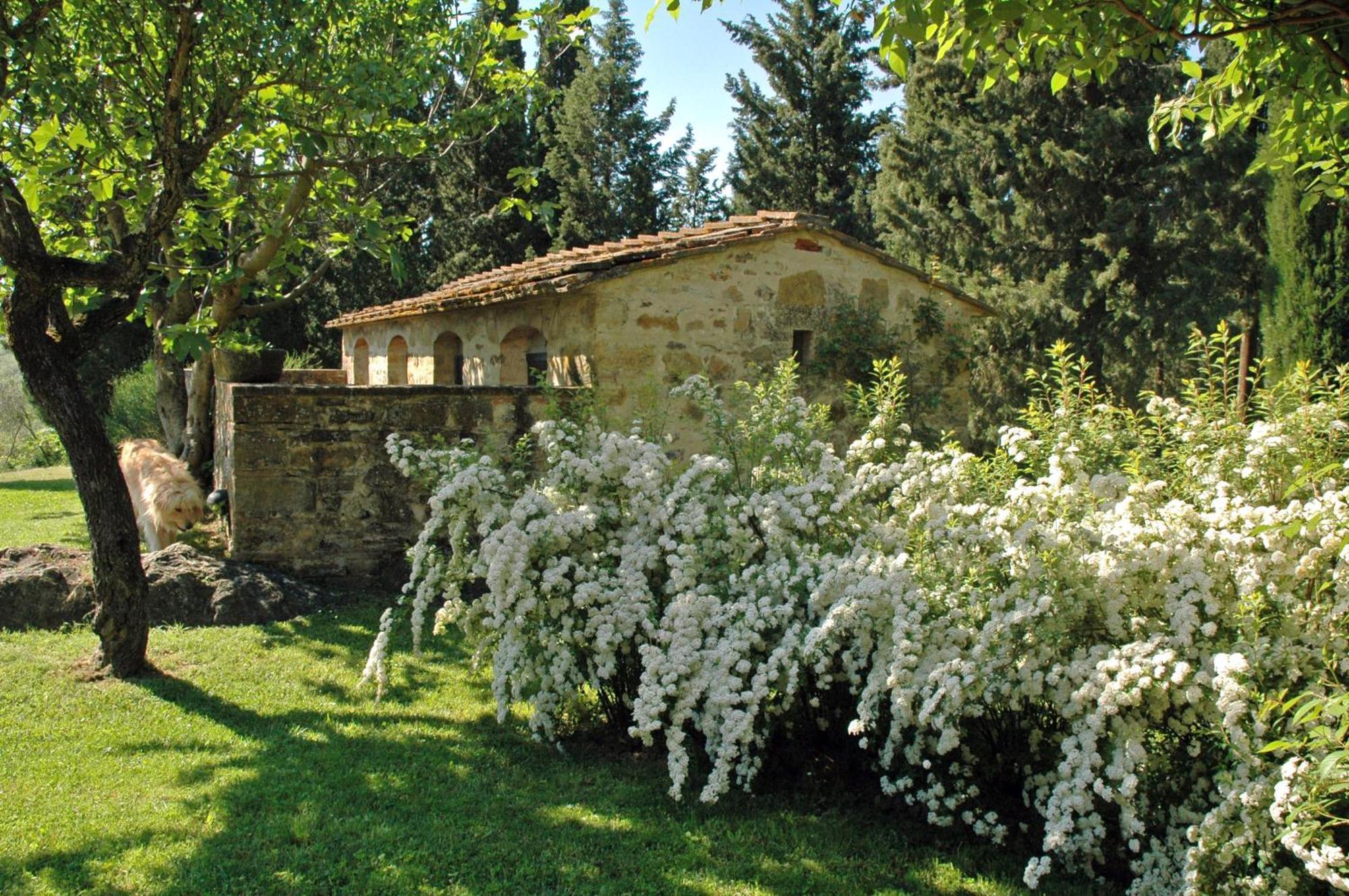 Fattoria Casa Sola Konuk evi Barberino di Val dʼElsa Oda fotoğraf