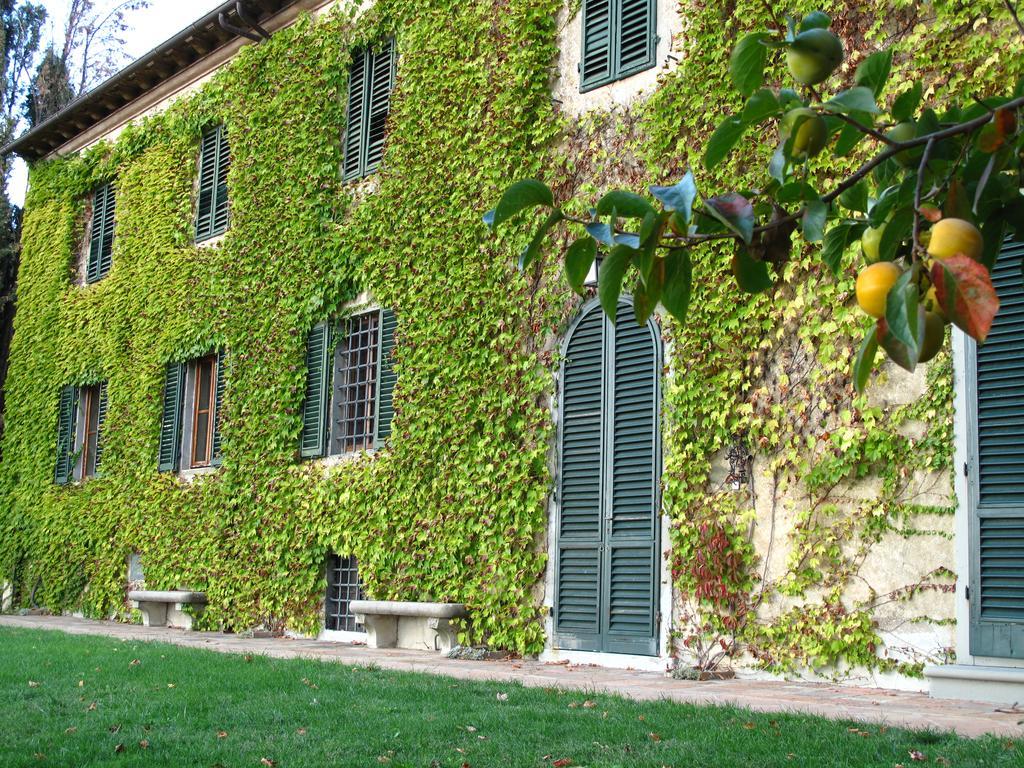 Fattoria Casa Sola Konuk evi Barberino di Val dʼElsa Dış mekan fotoğraf
