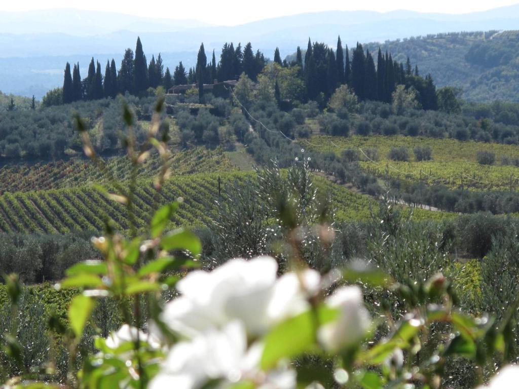 Fattoria Casa Sola Konuk evi Barberino di Val dʼElsa Oda fotoğraf